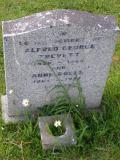 image of grave number 530277